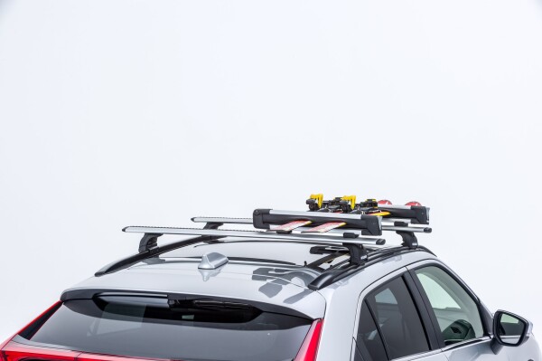 КРІПЛЕННЯ ДЛЯ ПЕРЕВЕЗЕННЯ ЛИЖ/СНОУБОРДІВ